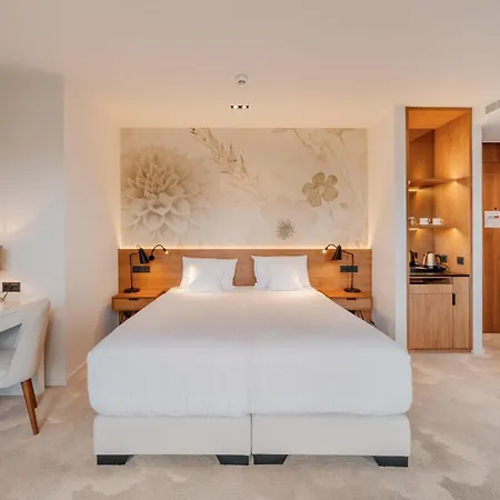 Pieniny Grand Wellness & - Destigo 酒店 什恰夫尼察