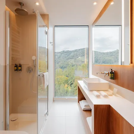 Pieniny Grand Wellness & - Destigo 酒店 什恰夫尼察