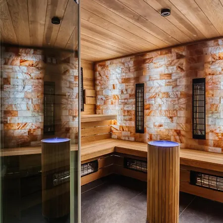 فندق Pieniny Grand Wellness & - Destigo شتافنيتسه