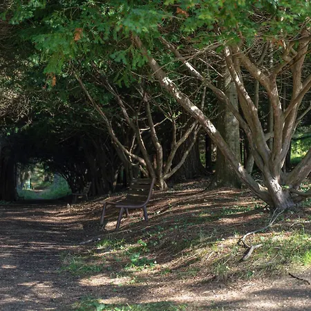 Pieniny Grand Wellness & - Destigo Hotel