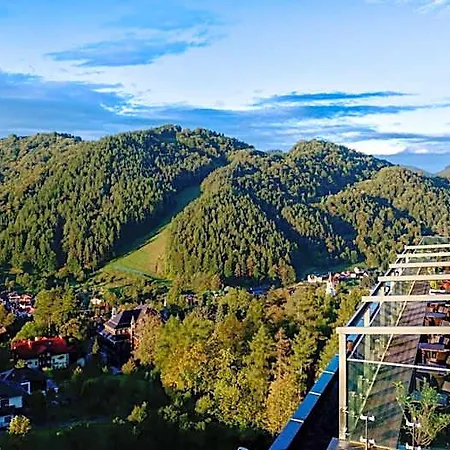 Отель Pieniny Grand Wellness & - Destigo Шавница