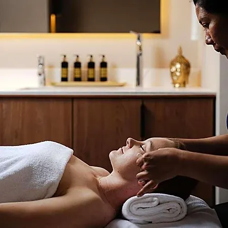 Pieniny Grand Wellness & - Destigo Отель